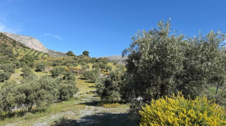 Málaga - Valle de Abdalajís - 6m2