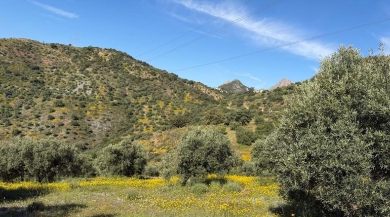 Málaga - Valle de Abdalajís - 6m2