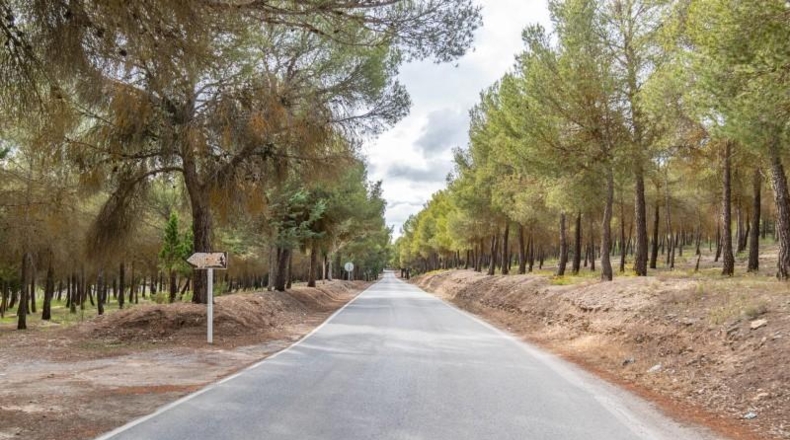 Granada - Arenas del Rey - 561m2