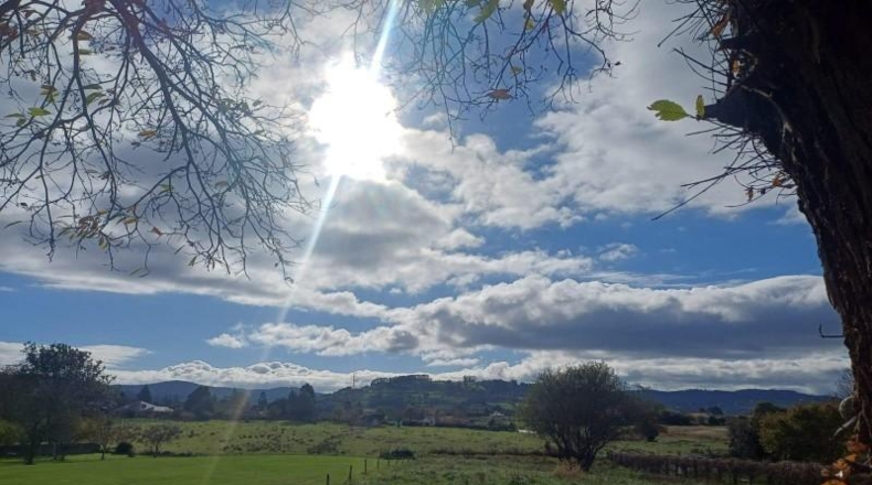 Asturias - Villaviciosa - 2578m2