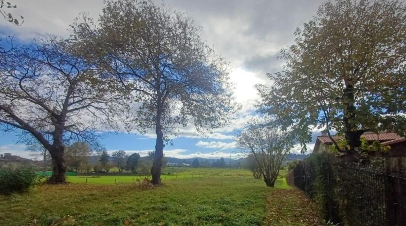 Asturias - Villaviciosa - 2578m2