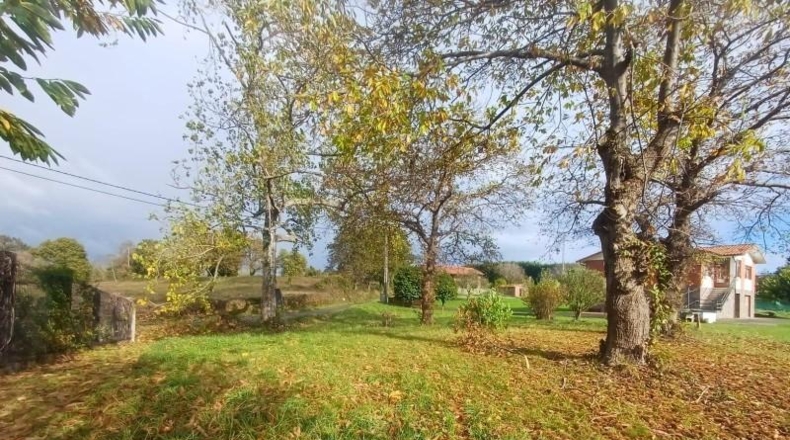 Asturias - Villaviciosa - 2578m2