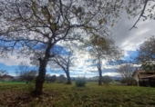Земля, подлежащая урбанизации на продажу у города Villaviciosa Фото