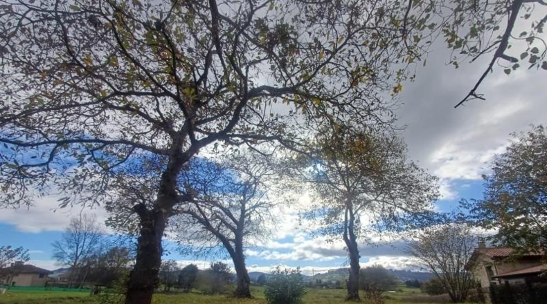 Asturias - Villaviciosa - 2578m2