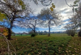 Villaviciosa 2578&nbsp;m²