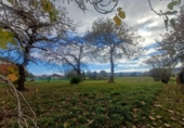 Земля, подлежащая урбанизации на продажу у города Villaviciosa Фото