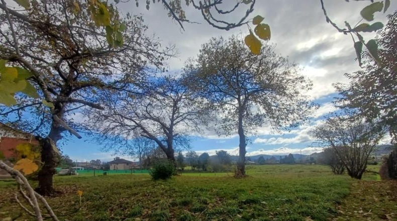 Asturias - Villaviciosa - 2578m2