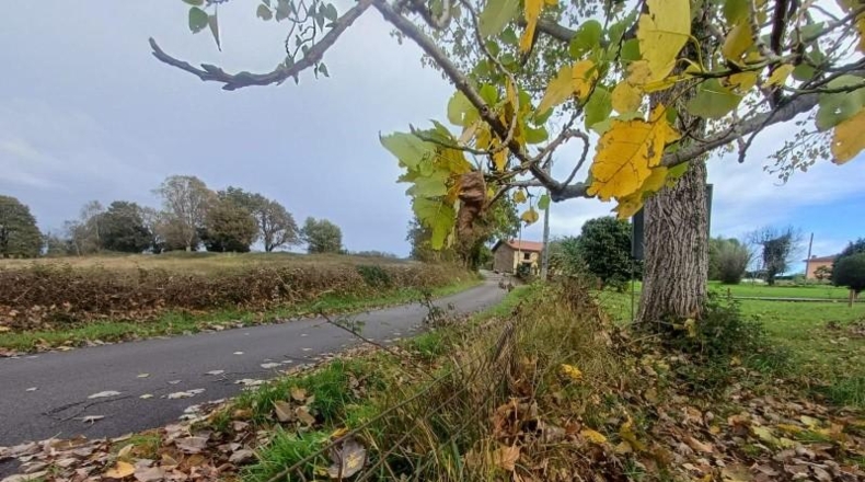 Asturias - Villaviciosa - 2578m2