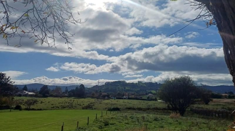 Asturias - Villaviciosa - 2578m2
