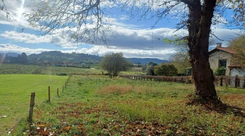 Asturias - Villaviciosa - 2578m2
