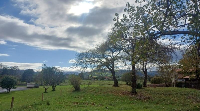 Asturias - Villaviciosa - 2578m2