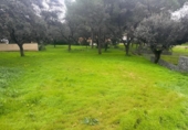 Sòl urbà en venda a la España, Bollullos de la Mitación, ref.: TR396232 foto