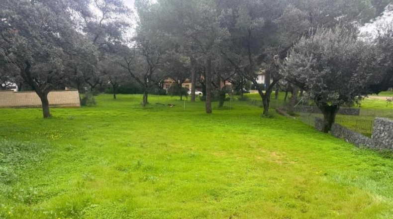 Sevilla - Bollullos de la Mitación - 1302m2