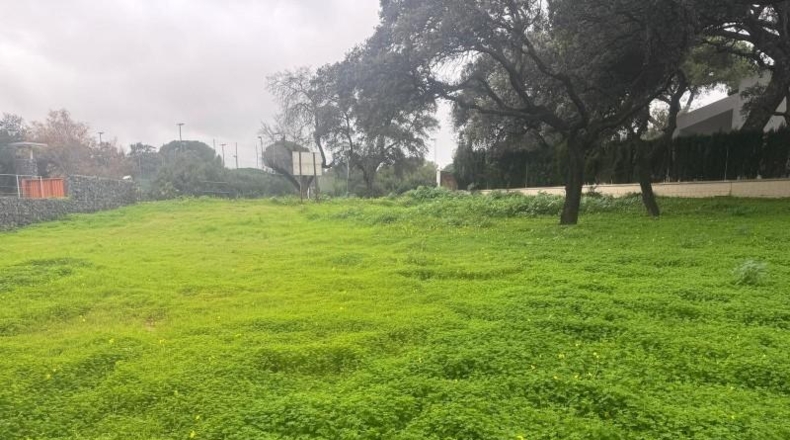 Sevilla - Bollullos de la Mitación - 1302m2