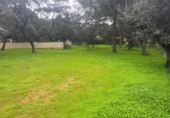 Sòl urbà en venda a la España, Bollullos de la Mitación, ref.: TR396232 foto