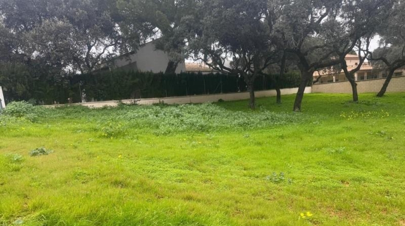 Sevilla - Bollullos de la Mitación - 1302m2