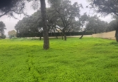 Sòl urbà en venda a la España, Bollullos de la Mitación, ref.: TR396232 foto