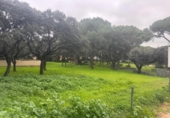 Sòl urbà en venda a la España, Bollullos de la Mitación, ref.: TR396232 foto