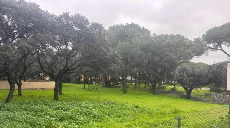 Sevilla - Bollullos de la Mitación - 1302m2