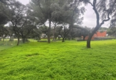 Sòl urbà en venda a la España, Bollullos de la Mitación, ref.: TR396232 foto