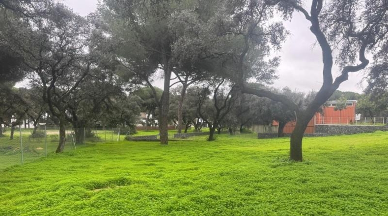 Sevilla - Bollullos de la Mitación - 1302m2