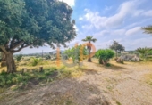 Casa de poble en venda a la España, Huércal-Overa, ref.: TR375831 foto