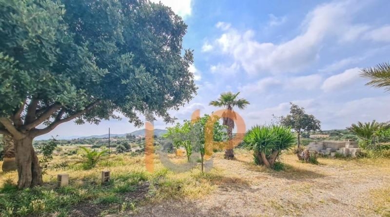 Almería - Huércal-Overa - 186m2