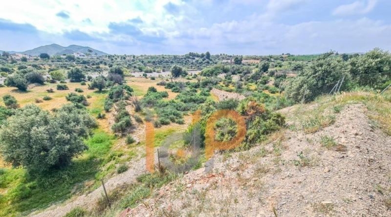 Almería - Huércal-Overa - 186m2