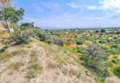 Casa de poble en venda a la España, Huércal-Overa, ref.: TR375831 foto