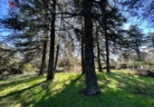 Suelo urbano en venta en la España, Cercedilla, ref: TR221611 foto