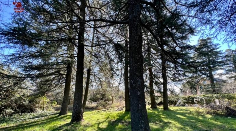 Comunidad de Madrid - Cercedilla - 1123m2