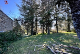 Cercedilla 1123&nbsp;m² 