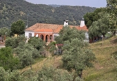 Xalet independent amb terreny en venda a la España, Pozoblanco, ref.: TR406015 foto