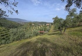Pozoblanco 70000&nbsp;m² 