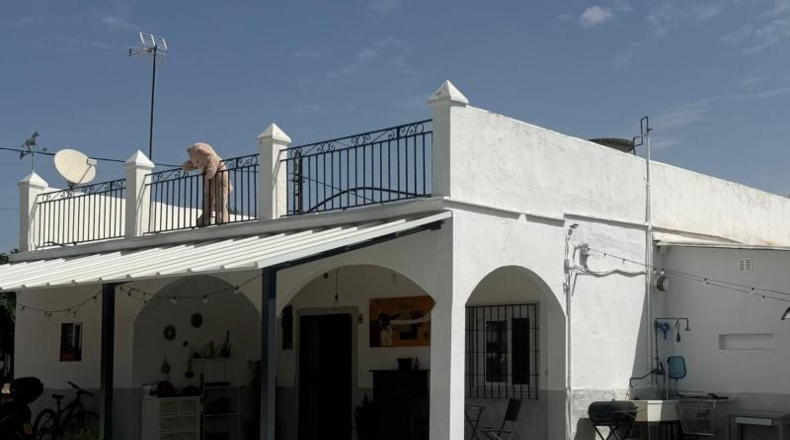 Sevilla - Utrera - 811m2