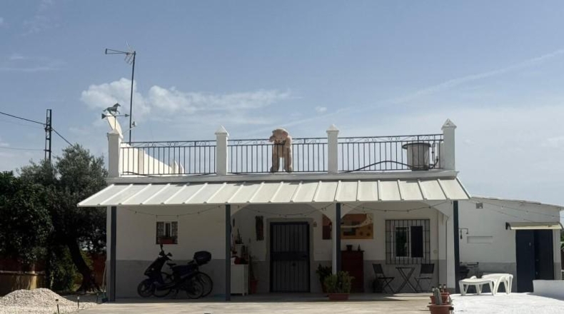 Sevilla - Utrera - 811m2