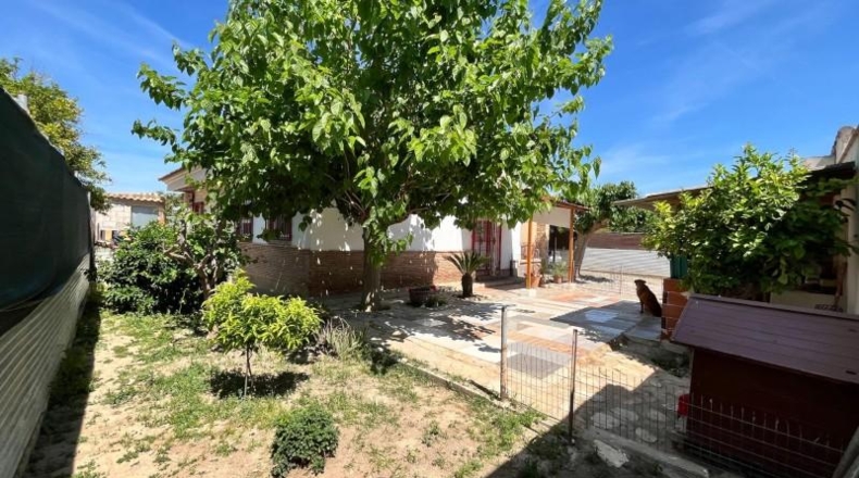 Murcia - Murcia - 378m2