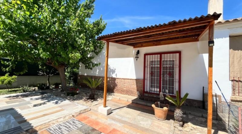 Murcia - Murcia - 378m2
