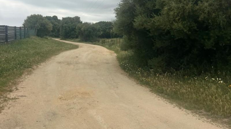 Cádiz - Vejer de la Frontera - 40000m2