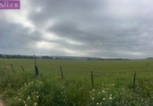 Земля на продажу у города Vejer de la Frontera Фото