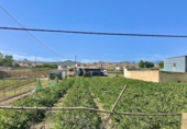 Parcel·la urbanitzable en venda a la España, Almayate, ref.: TR119131 foto