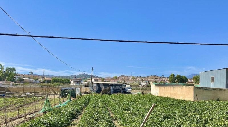 Málaga - Almayate Alto - 2434m2