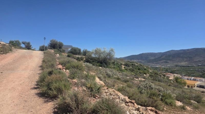 Almería - Laujar de Andarax - 137755m2