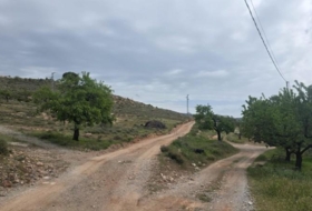 Laujar de Andarax 137755&nbsp;m² 