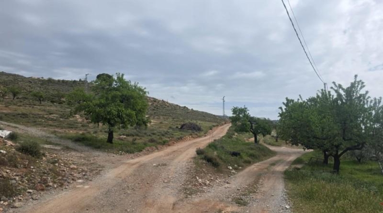Almería - Laujar de Andarax - 137755m2