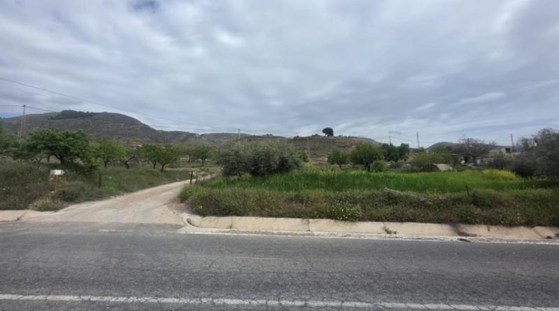 Almería - Laujar de Andarax - 137755m2