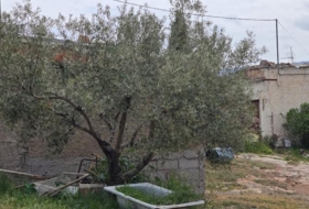 Laujar de Andarax 137755&nbsp;m² 