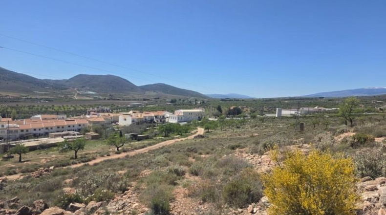 Almería - Laujar de Andarax - 137755m2