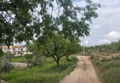 Xalet independent amb terreny en venda a la España, Laujar de Andarax, ref.: TR406120 foto