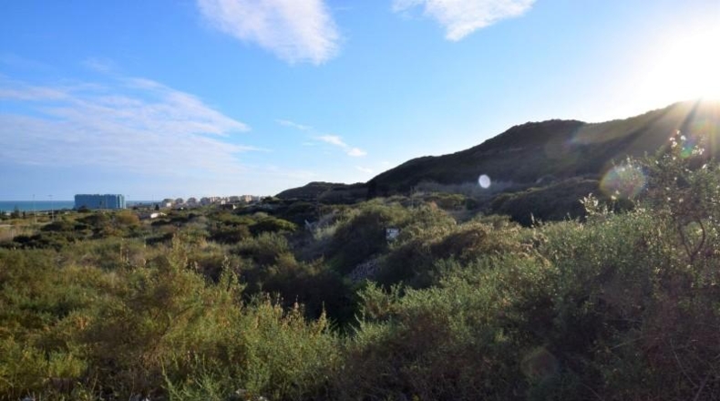 Alicante - Guardamar del Segura - 3500m2
